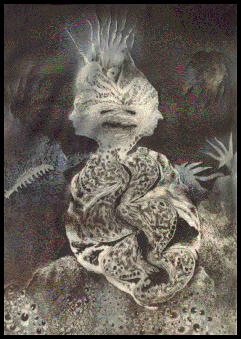 acblackrose.jpg - 92602 Bytes