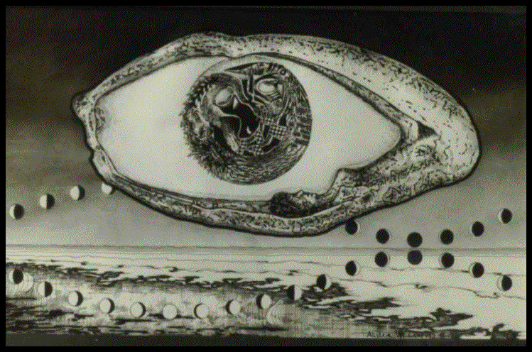 accolumbine.jpg - 84818 Bytes